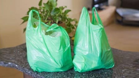 Día Mundial Libre de Bolsas de Plástico