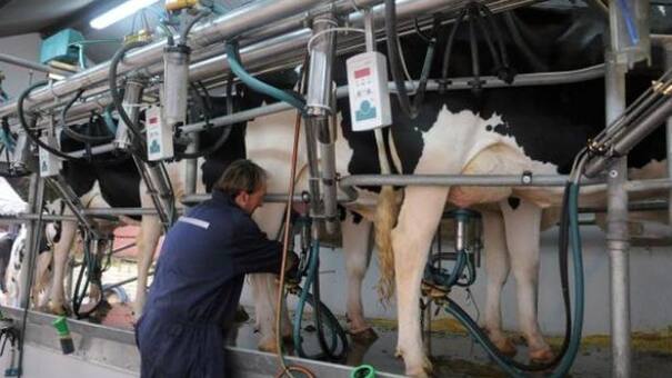 Alerta en industria lechera: "No es posible realizar nuevos incrementos en los salarios"