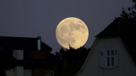 Luna de ciervo en julio de 2022