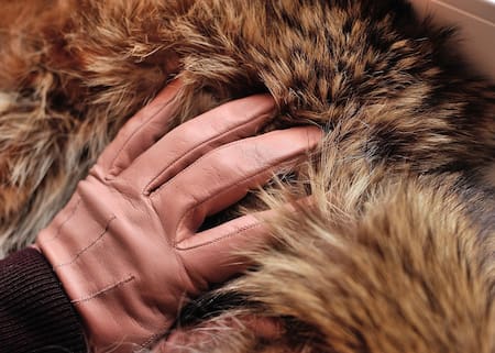 Puffer gloves. Foto: Pixabay.