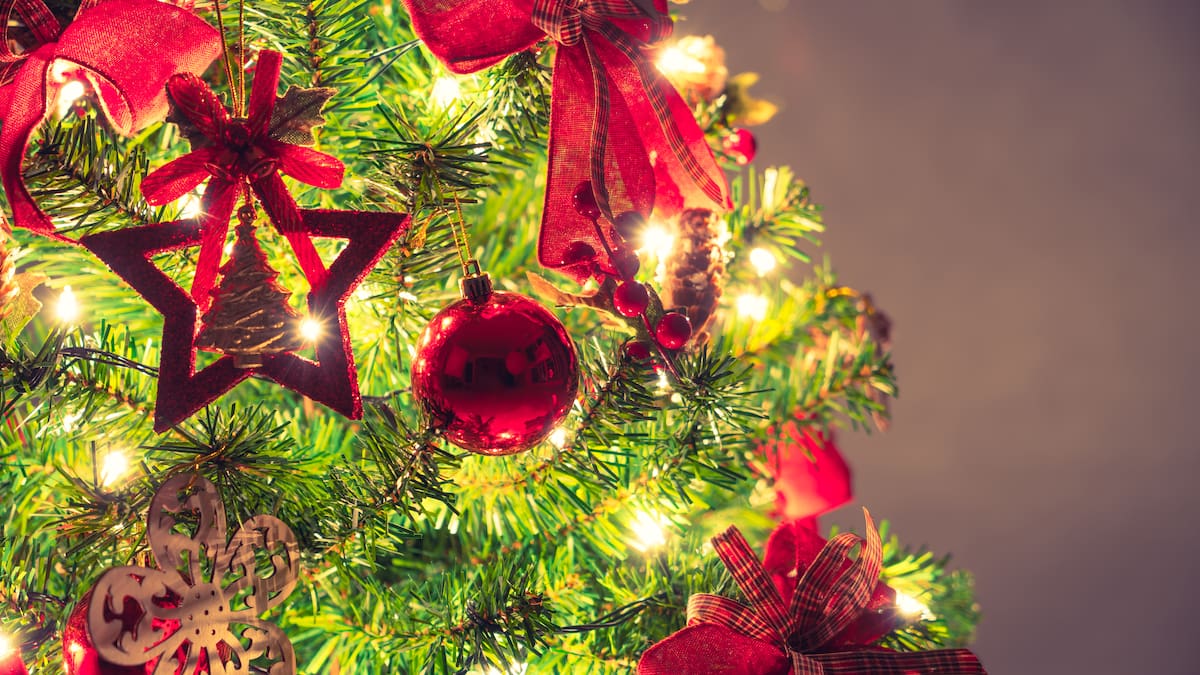 ¿Cuándo hay que colocar el árbol de Navidad?