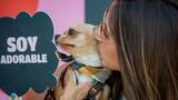Mascotear 2025: cuándo es, dónde y qué hacer en el festival pet friendly más grande de Buenos Aires