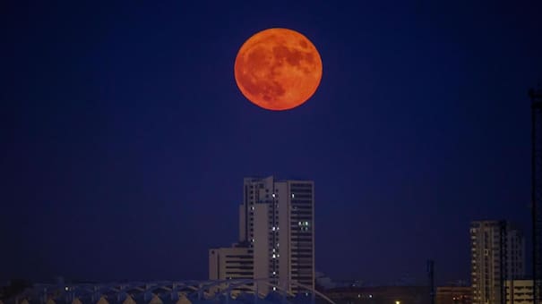 Podrá verse desde Argentina: cuándo será la primera Superluna de 2026, un espectáculo visual único