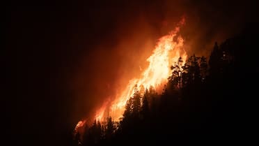 Qué es la Ley de Manejo del Fuego y cuál es su importancia en medio de los incendios en Chubut