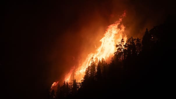 Qué es la Ley de Manejo del Fuego y cuál es su importancia en medio de los incendios en Chubut