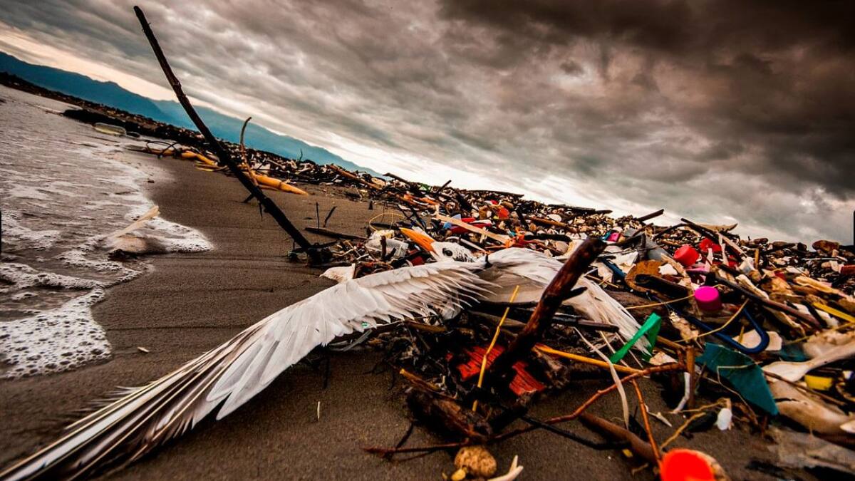 Plasticósfera, un documental sobre la contaminación de plásticos y microplásticos. Foto: Sergio Izquierdo