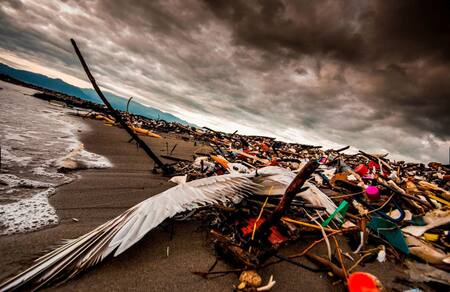 Plasticósfera, un documental sobre la contaminación de plásticos y microplásticos. Foto: Sergio Izquierdo