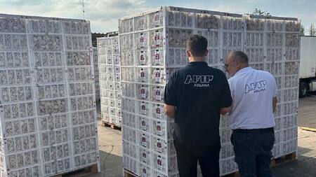 Operativo de Aduana, foto Aduana