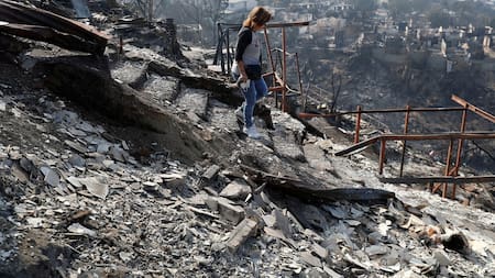 Estados Unidos se solidarizó con Chile y se ofreció a "prestar la ayuda necesaria" para combatir los incendios