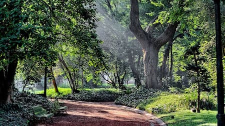 Jardín Botánico Carlos Thays.