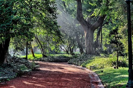 Jardín Botánico Carlos Thays. Foto: Buenos Aires Ciudad.