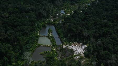 El amazonas. Foto EFE.