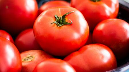 Tomates. Foto: Unsplash.