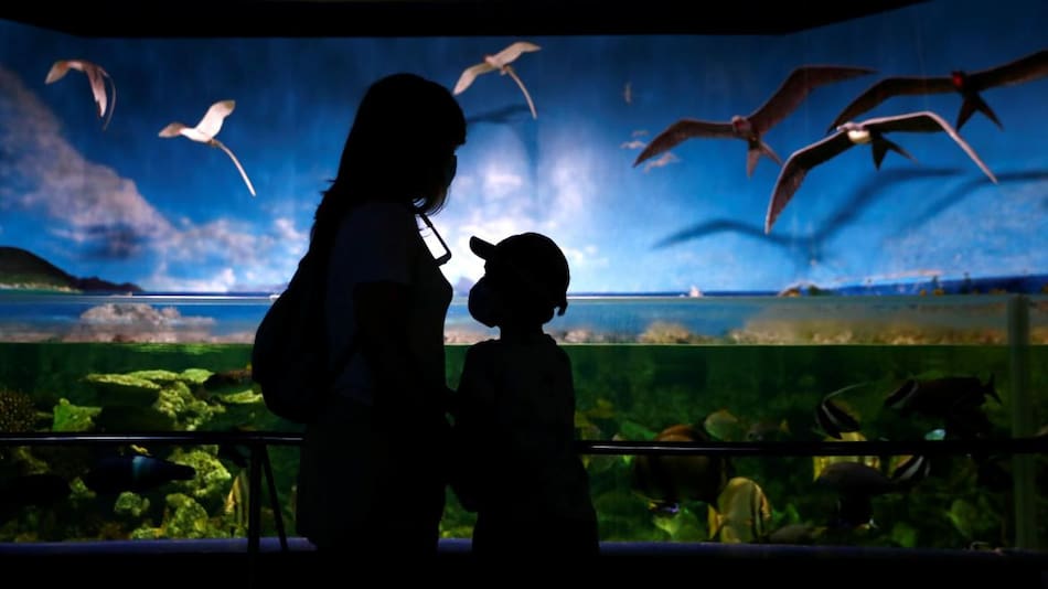 Nueva normalidad en España tras coronavirus, REUTERS