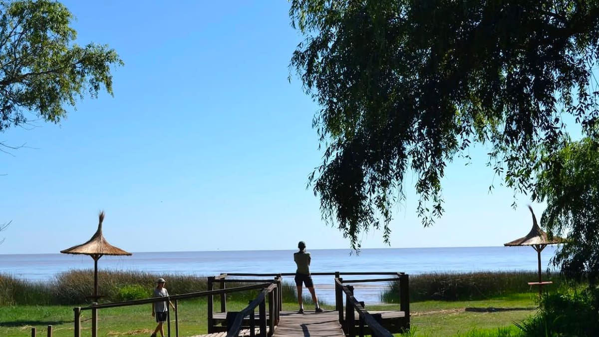 Vacaciones de invierno en Buenos Aires: la reserva natural que ofrece bosques nativos, camping y paseos a caballo