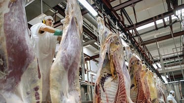 EEUU confirmó que comprará poca carne argentina: “Enfrenta un problema de fiebre aftosa”