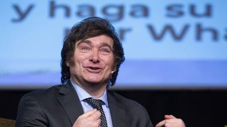 Javier Milei: “La estrategia del kirchnerismo es destruir el plan económico, hacer manifestaciones violentas o intentar matarme”