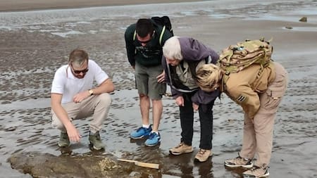 Hallazgo arqueológico en Pehuén Co