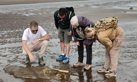 Hallazgo arqueológico en Pehuén Co