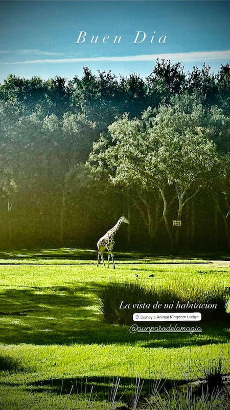 La vista desde el hospedaje de Wanda Nara en Disney. Foto: Instagram.