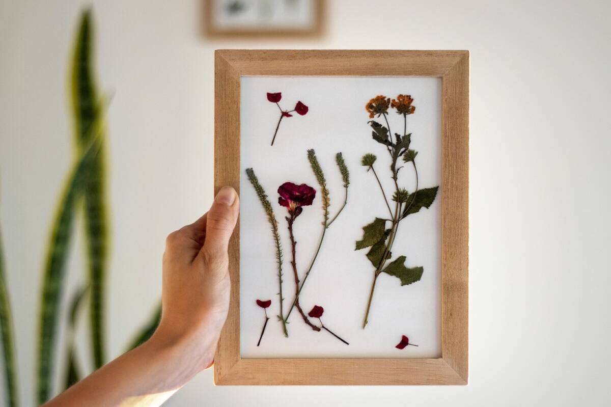 Cuadro, naturaleza. Foto: Freepik.