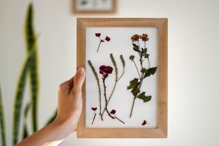 Cuadro, naturaleza. Foto: Freepik.