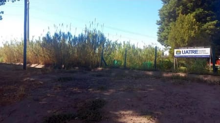 Festejo en el camping de UATRE, en Junín. Foto: gentileza Radio Regional