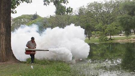 Fumigación por Dengue