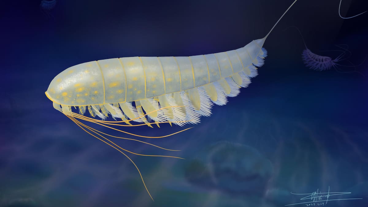 ‘Lomankus edgecombei’, la nueva especie de artrópodo encontrada en Nueva York, Estados Unidos. Foto: EFE.