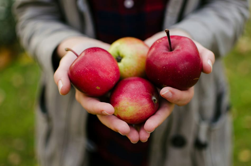 Manzana, fruta, nutrientes. Foto: Unsplash