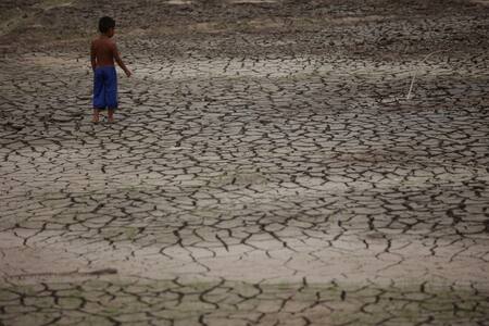 Histórica sequía en el Amazonas. Foto: Reuters