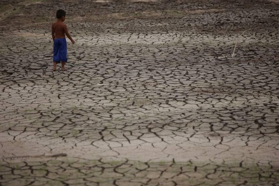 Histórica sequía en el Amazonas. Foto: Reuters