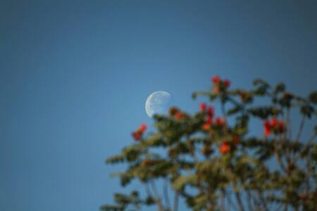 Luna, microluna. Foto Unsplash