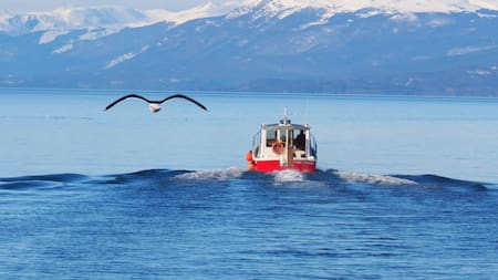 Olas del mar congeladas y un "paisaje surrealista": el fenómeno natural que sorprendió en Tierra del Fuego