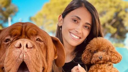 Anto Roccuzzo junto a sus mascotas. Foto: Instagram/antonelaroccuzzo.