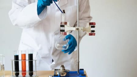 Científico de Harvard afirma que la vejez es una enfermedad y puede ser curable