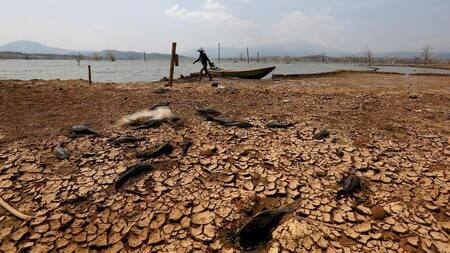 Calentamiento global, informe. Foto: REUTERS