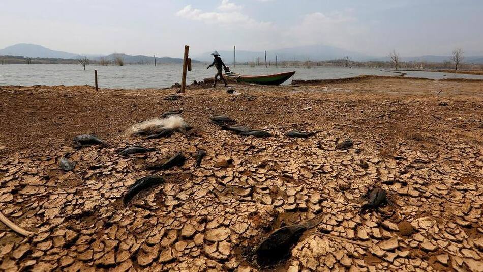 Calentamiento global, informe. Foto: REUTERS