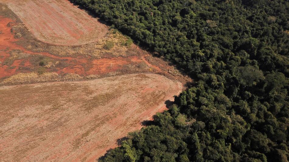 Deforestación en Amazonia. Foto: NA.