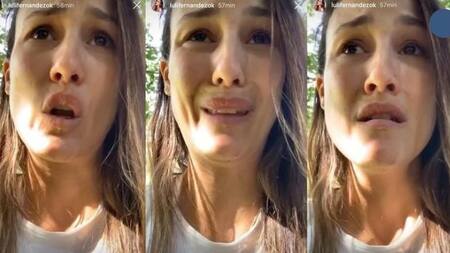 Luli Fernández, robo, video en Instagram