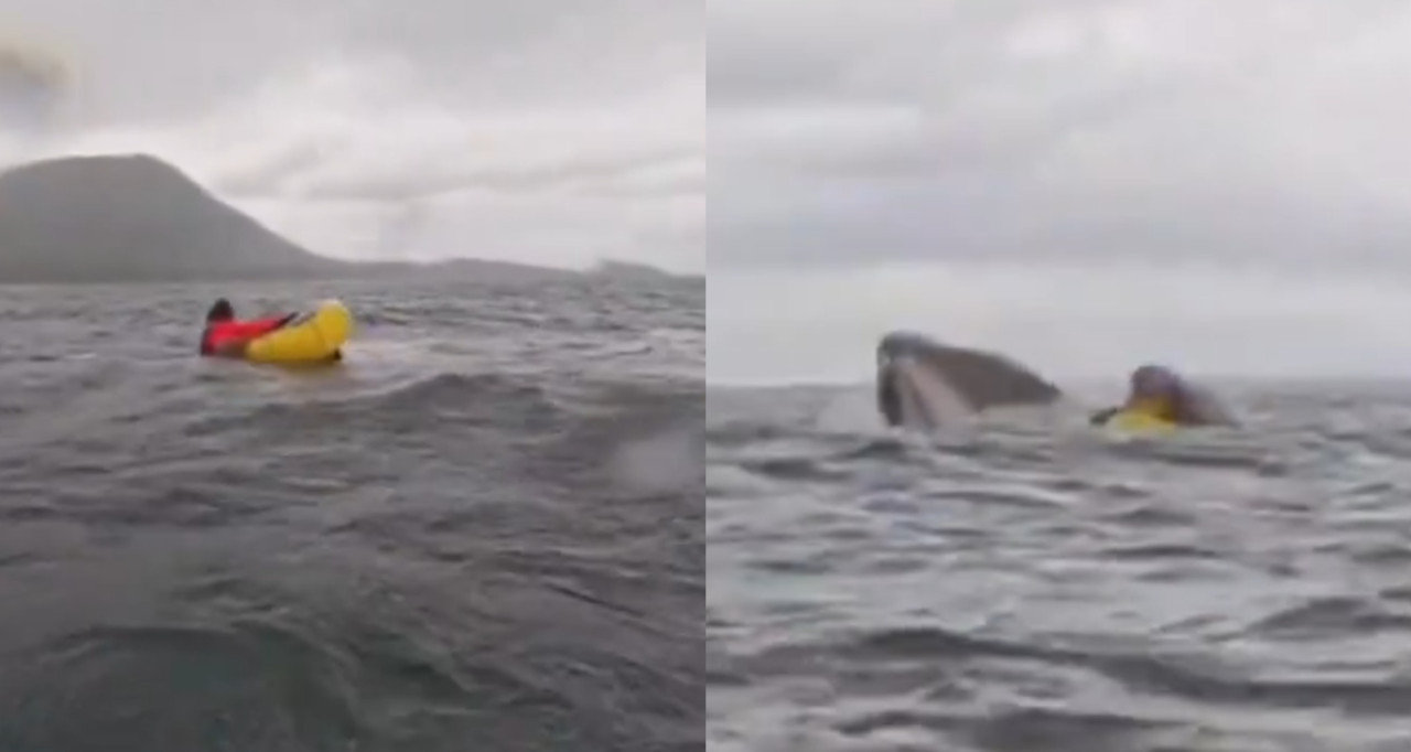 Hacía packrafting y fue tragado por una ballena que luego lo expulsó. Foto: captura.