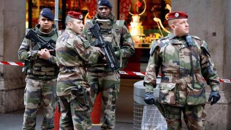 Proyecto Ronces - Francia