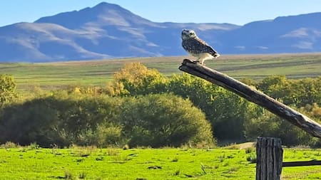 No es Río de Janeiro: dónde queda el verdadero Pan de Azúcar que ofrece vistas únicas e irrepetibles senderos