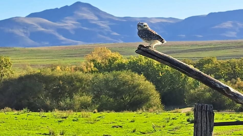 Dónde se encuentra el cerro del Pan de Azúcar.