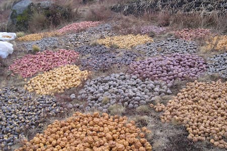 Zonas de agrobiodiversidad en Perú. Foto: X.