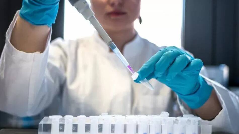 Hallazgo científico. Foto: Unsplash