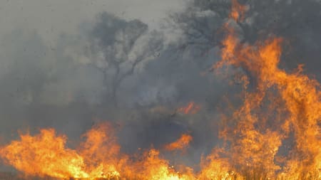 Calentamiento global. Foto: NA.