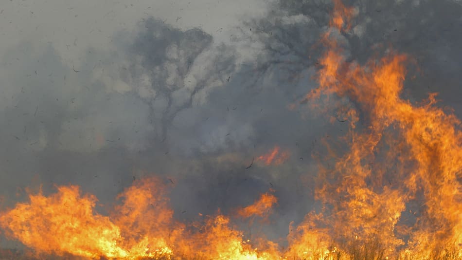 Calentamiento global. Foto: NA.