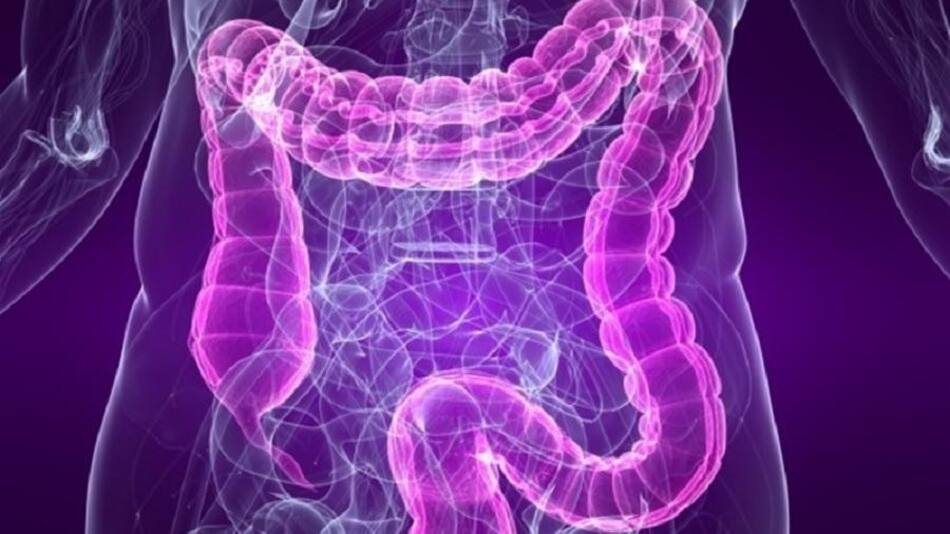 Colón, Cáncer de colon, intestino, salud