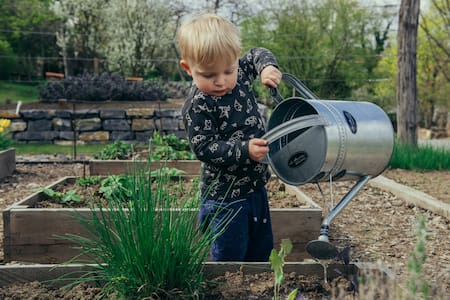 Verduras; niños. Foto: Unsplash